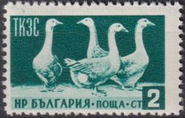 1955 Bulgarien ° Mi:BG 935, Sn:BG 882, Yt:BG 806, L 12¾,  Domestic Geese (Anser Anser Domestica), Gänse - Oblitérés