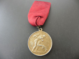 Medaille Medal - Deutschland Germany - Obererzgebirge Erinnerung An Das Erste Verbandsfest Des Athleten Verbandes - Autres & Non Classés