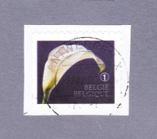 2013 Nr 4368 Gestempeld Op Fragment,zegel Uit Boekje B142.Rouwzegels / Timbres De Deuil. - Used Stamps