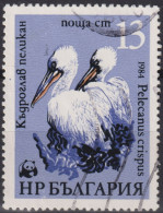 1984 Bulgarien ° Mi:BG 3304, Sn:BG 3009, Yt:BG 2870, Dalmatian Pelican (Pelecanus Crispus), WWF Pelicans - Oblitérés