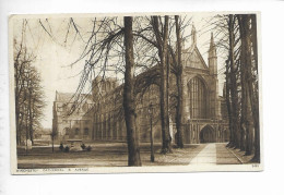 WINCHESTER CATHEDRAL & AVENUE. - Winchester