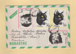 Pologne - 1965 - Imprime Publicitaire Pharmaceutique Nubarene - Theme Chien Chat - Covers & Documents