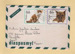 Pologne - 1965 - Imprime Publicitaire Pharmaceutique Diaspasmyl - Theme Chien Chat - Briefe U. Dokumente