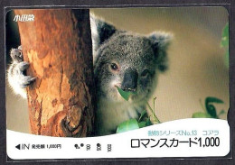 Japan 1V Koala No. 13 Odakyu Electric Railway Used Card - Jungle