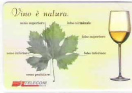 TELECOM - VINO E' NATURA - 14° MANIFESTAZIONE DI PIACENZA - SERIE NUOVA 3 V. LIRE 2000 5000 15000 - GOLDEN  1342/1344 - Publiques Figurées Ordinaires