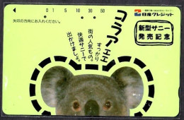 Japan 1V Koala Advertising Used Card - Giungla