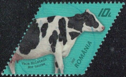 Roumanie 2022 Oblitéré Used Vache Holstein Race Bovine Y&T RO 6697 SU - Used Stamps