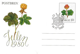 Norge Norway 1980 Stationary - Postbrev, Letter With Imprinted Stamp Special For Christmas 1980 With Ripe Berries   FDC - Lettres & Documents