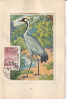 Finland 1951, Postcard Unused, Birds, Stamped 1953 - Brieven En Documenten