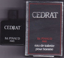 Miniature Parfum Ancienne - Pinaud - EDT - Cedrat - Pleine Avec Boite 4ml - Miniatures Hommes (avec Boite)