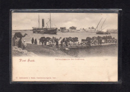 (26/02/24) EGYPTE-CPA PORT SAID - Port Said