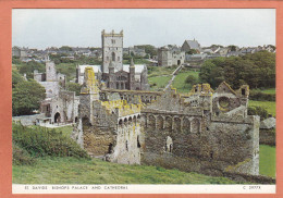 SAINT DAVIDS - ROYAUME UNI - PAYS DE GALLE - PEMBROKSHIRE - BISHOPS PALACE AND CATHEDRAL - NEUVE - Pembrokeshire