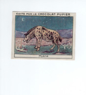 Chromo Animaux HYENE Didactique Au Dos TB Pub: Chocolat Pupier 67  X 50 Mm  2 Scans - Andere & Zonder Classificatie