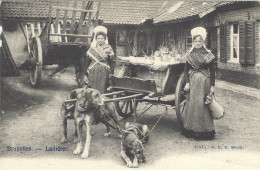 BELGIQUE - Laitières - Voiture à Chiens - Artesanos