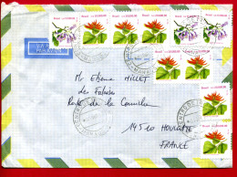 1993 - Lettre Pour La France - 7 Tp Erythrina Speciosa N°2131 + 3 Tp Tabebuia Heptaphylla N° 2096 - Briefe U. Dokumente