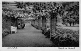 Solbad Melle - Pergola Im Kurpark Gel.1941 - Melle