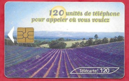 Télécarte Hors Catégorie THC2  Lavande  2ème Choix - 120 Units