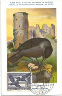 AUSTRIA CARD MAXIMUM OISEAUX BREGENZ 3.8.1954 - Maximumkaarten