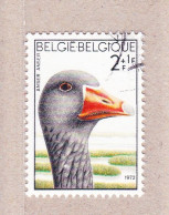 1972 Nr 1652 Gestempeld,zegel Uit Reeks :Solidariteit.Vogels. - Used Stamps