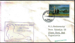 SOUTH GEORGIA - BRITISH ANTARCTIC SURVEY  GRYTVIKEN - 1981 - Faune Antarctique