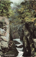 ROYAUME UNI - Angleterre - YORKSHIRE - Ingleton Gorge - Cascade - Carte Postale - Sonstige & Ohne Zuordnung