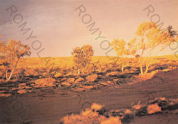 CARTOLINA  B20 TELFER,PILBARA,WESTERN AUSTRALIA,AUSTRALIA-DISTRICT SCENE-VIAGGIATA 1980 - Sonstige & Ohne Zuordnung