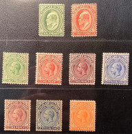 Falkland Islands 1904-1928 9 Different VF MNH**/MH* Stamps (Iles Falkland British Empire - Falklandinseln