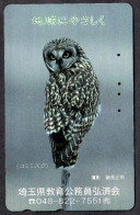 Japan 1V Owl Saitama Ken Civil Servant Education Organisation Advertising Used Card - Búhos, Lechuza