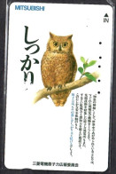 Japan 1V Owl Mitsubishi Advertising Used Card - Owls