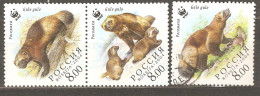 Russia: 3 Used Stamps Of A Set, Wild Animals - Wolverine, 2004, Mi#1198-9 - Used Stamps