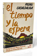 El Tiempo Y La Espera. Poemas Inéditos - Pedro Casaldaliga - Sonstige & Ohne Zuordnung