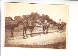 CENTRAL ASIA  Turkmenistan Ashgabat TYPES  CAMEL CARAVAN - Turkménistan