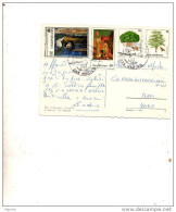 1980   CARTOLINA - Storia Postale