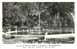 BUIS LES BARONNIES Hôtel Du Luxembourg, Le Parc (G. Delhomme Propriétaire) - SM - Buis-les-Baronnies