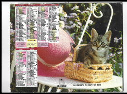 Almanach  Calendrier  P.T.T  - La Poste - 1991 -  Chat Et Chien - Sonstige & Ohne Zuordnung