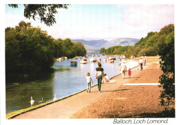 BALLOCH, DUNBARTONSHIRE, LOCH LOMOND, LAKE, BOATS, DUCK, SCOTLAND, UNITED KINGDOM, POSTCARD - Dunbartonshire