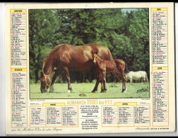 Almanach  Calendrier  P.T.T  -  La Poste -  1980 -  Chevaux - - Andere & Zonder Classificatie
