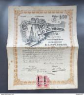 ACTION COMPANIA PETROLERA LAS DOS HUASTECAS MEXICO 1916 50 DOLLARS - Aardolie