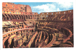 ROME, LAZIO, COLOSSEUM, ITALY, POSTCARD - Colosseum