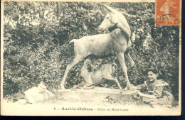 Auxi Le Chateau Biche Au Mont Louis - Auxi Le Chateau