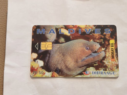 Maldives-(227MLDGIB-MAL-C-02)-Moray Eel-(45)-(RF50)-(227MLDGIB00724467)-used Card+1card Prepiad Free - Maldiven