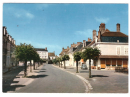 CHATEAUMEILLANT - La Place (carte Photo) - Châteaumeillant