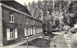 Borsbeke ; Villa Steppe -uitgever De Bie August - Herzele