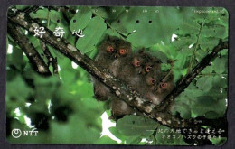 Japan 1V Owls NTT Used Card - Búhos, Lechuza