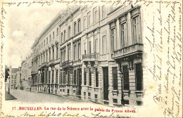 Belgique - Brussel - Bruxelles - La Rue De La Science Avec Le Palais Du Prince Albert - Avenues, Boulevards