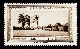 12995 / ⭐ ◉ SAINT-LOUIS (2) St SENEGAL Vignette De Collection LA BELLE FRANCE 1925s H-V Erinnophilie - Tourism (Labels)