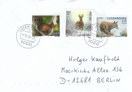 Luxembourg Luxemburg 2024 Red Fox Vulpes Vulpes Squirrel Sciurus Vulgaris Roe Deer Surtaxe Cover - Gibier