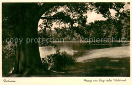 73695502 Duelmen Herzog Von Croy'scher Wildpark Uferpartie Am See Duelmen - Duelmen