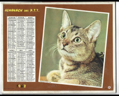 Almanach  Calendrier  P.T.T  -  La Poste -  1963 -  Chat- Cheval - Grand Format : 1961-70