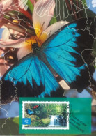 AUSTRALIA  : 2004, POSTAGE PRE PAID POSTCARD OF NATURE OF AUSTRALIA  RAINFOREST BUTTERFLIES WITH FD OF ISSUE STAMP. - Brieven En Documenten